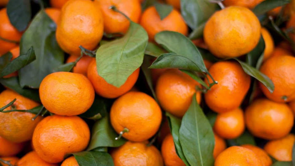 Tangerines