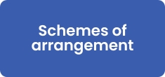 Schemes of arrangement