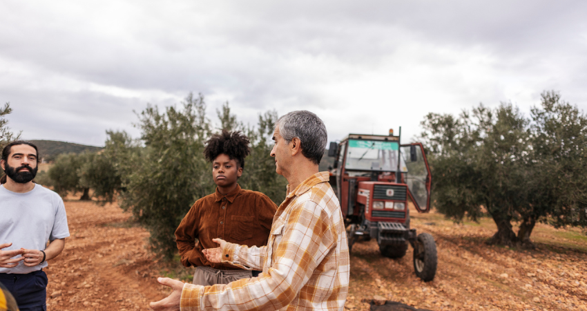 farmers discussing olive harvesting in olive grove with tractor