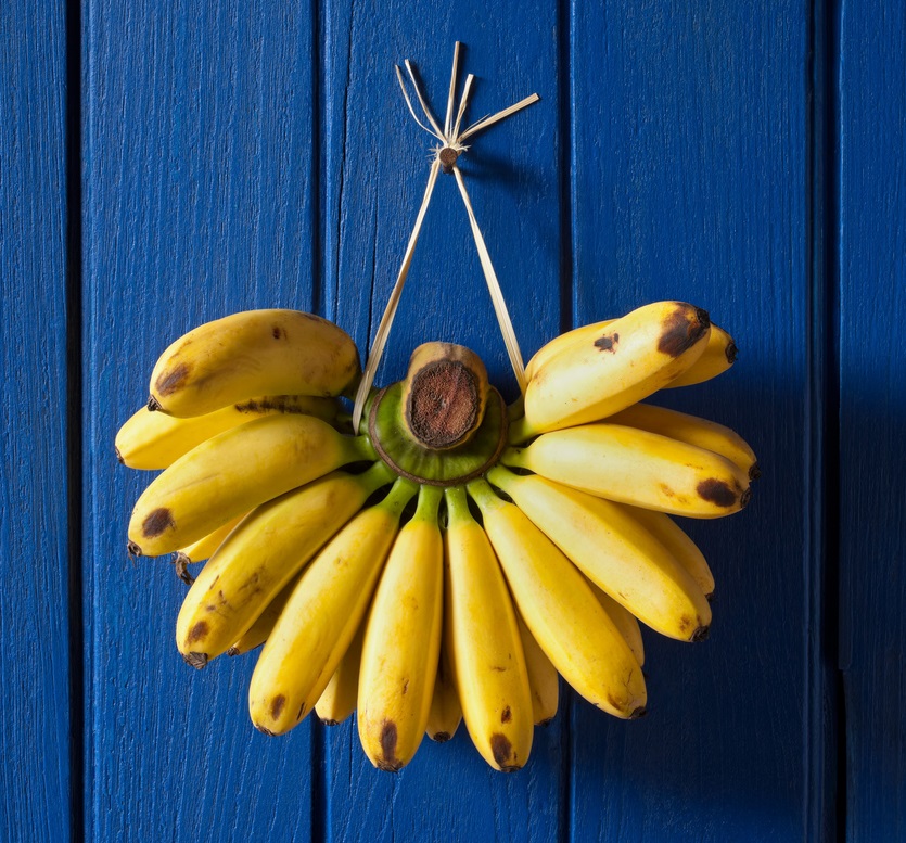 Market fresh bananas hanging on an old blue wooden wall