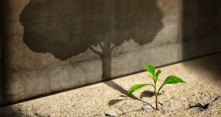 Start, Think Big, Recovery and Challenge in Life or Business Concept. Economic Crisis Symbol