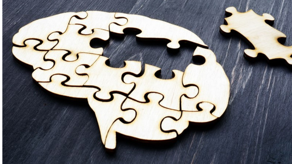 Brain from wooden puzzles