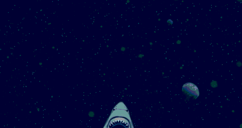 Shark rising up in water